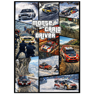 Sweat Shirt à Capuche Unisexe Monte Carlo Driver